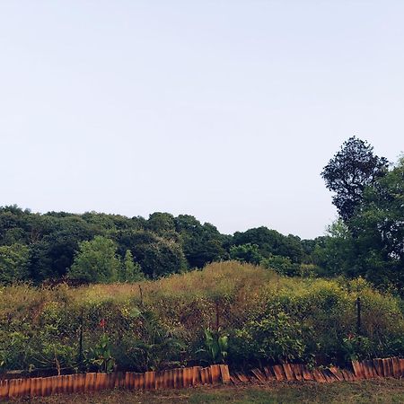 Laforesta By Mahabaleshwar Stay Esterno foto
