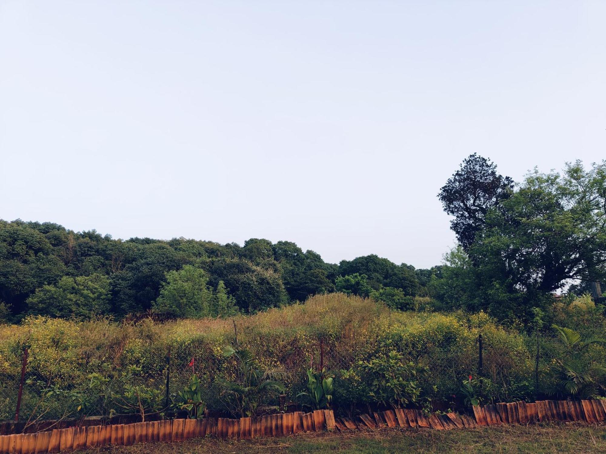 Laforesta By Mahabaleshwar Stay Esterno foto